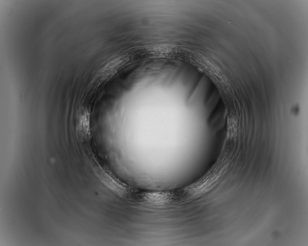 X0000100930238200807011229