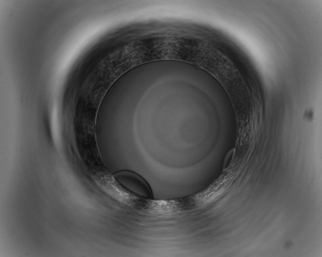 X0000100930239200807011229