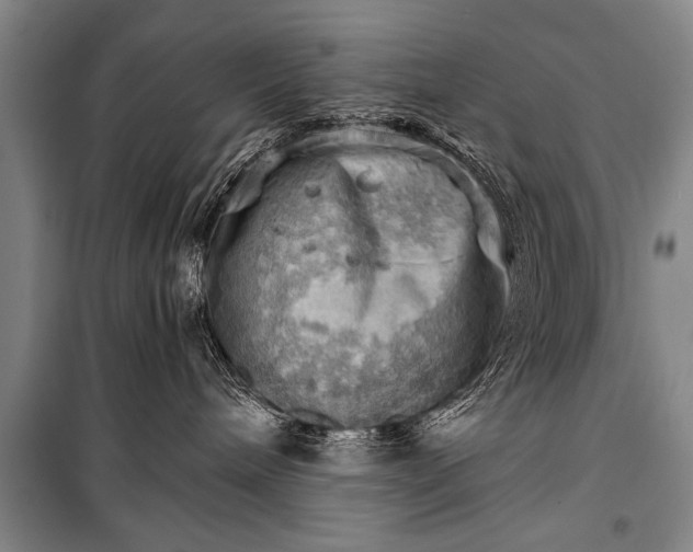 X0000100930240200807011229