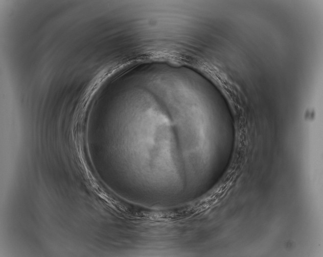 X0000100930241200807011228