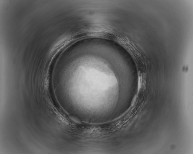 X0000100930243200807011228