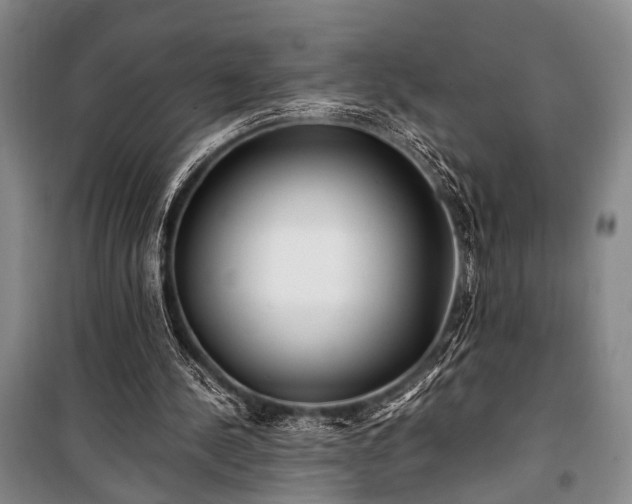 X0000100930244200807011228