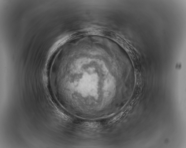 X0000100930245200807011228