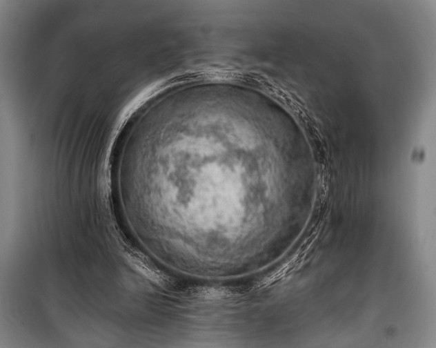 X0000100930246200807011228