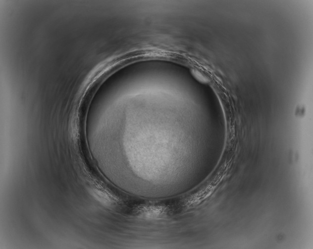 X0000100930247200807011228