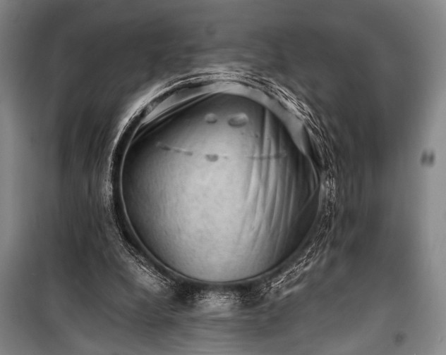 X0000100930248200807011228