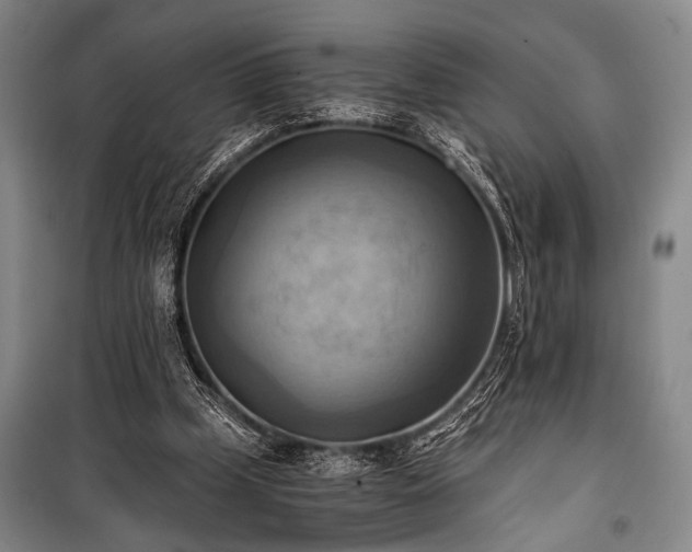 X0000100930249200807011228