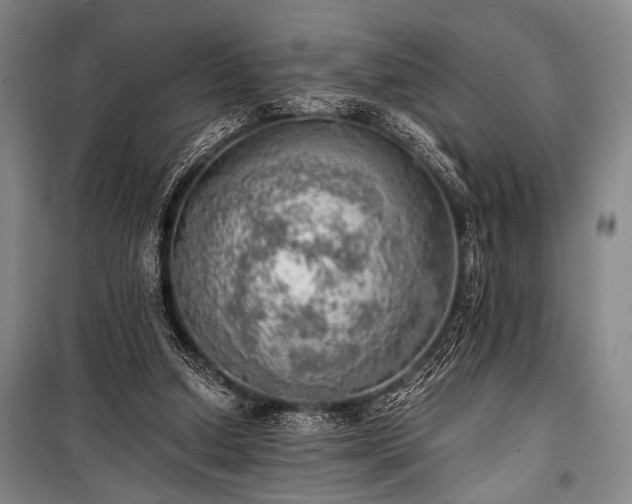 X0000100930250200807011228