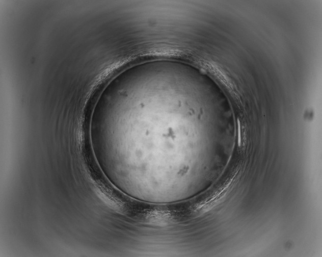 X0000100930252200807011228