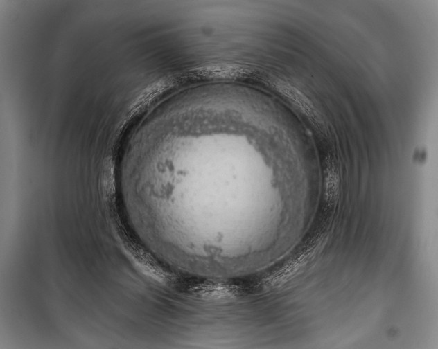 X0000100930254200807011228