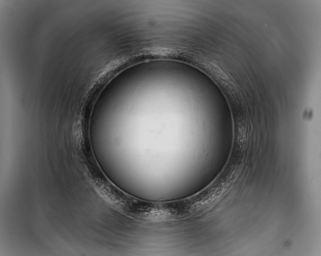 X0000100930256200807011228