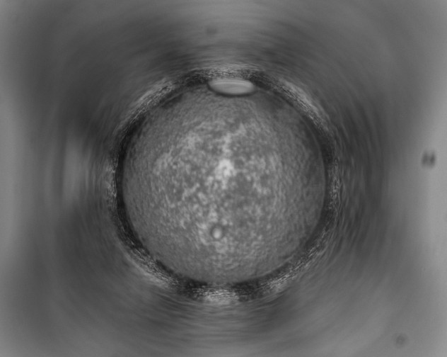 X0000100930258200807011228