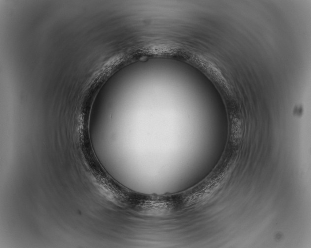 X0000100930260200807011228