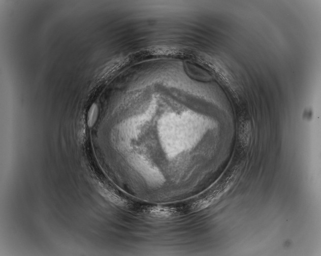 X0000100930261200807011228