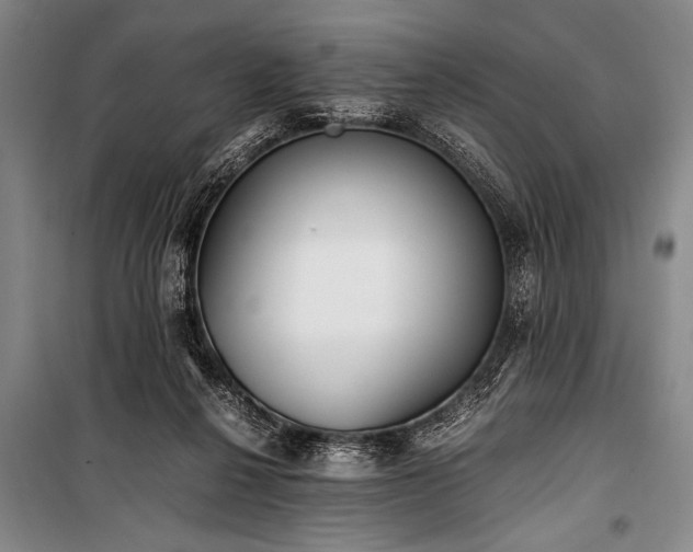 X0000100930264200807011228