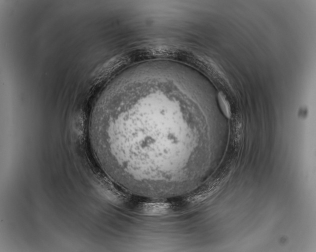 X0000100930266200807011228