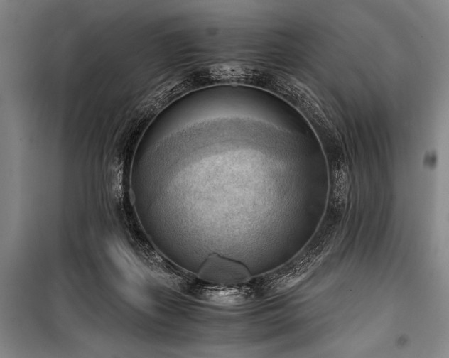 X0000100930267200807011228