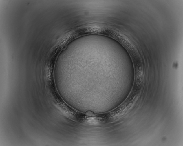 X0000100930268200807011228