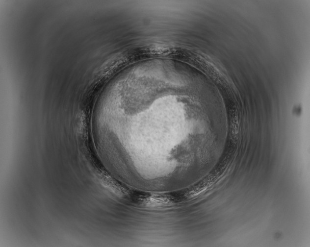 X0000100930270200807011228