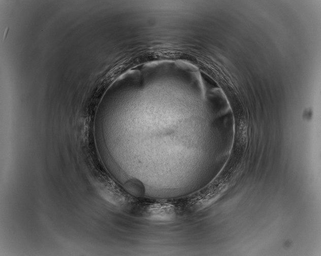 X0000100930271200807011228