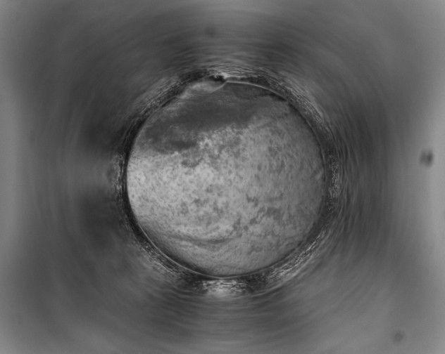 X0000100930273200807011228