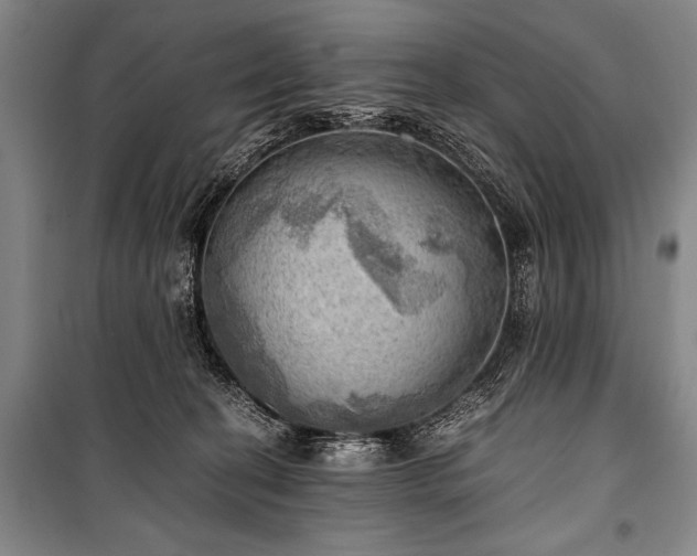 X0000100930274200807011228