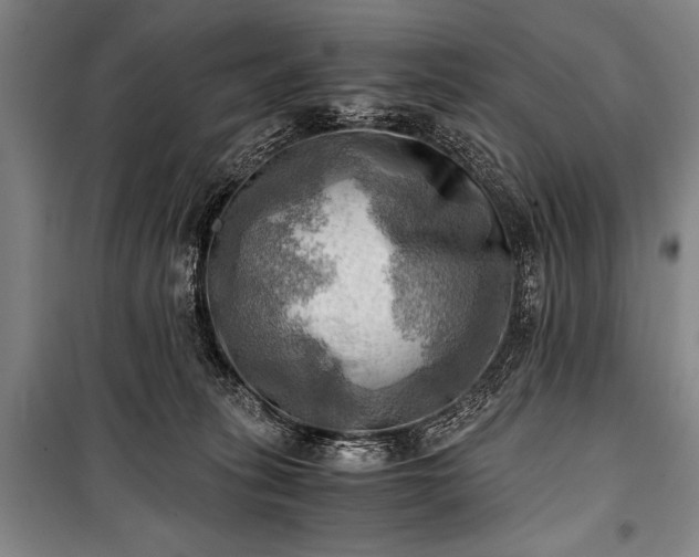 X0000100930275200807011228