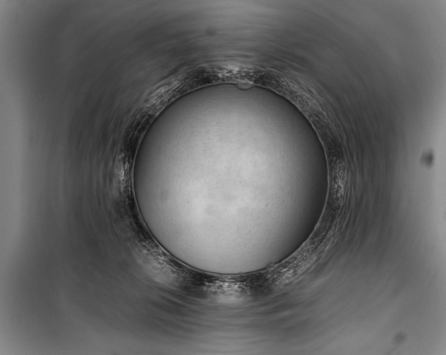 X0000100930276200807011228