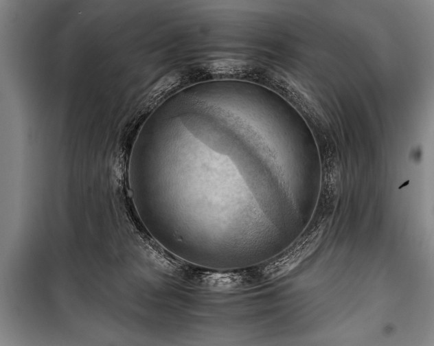 X0000100930277200807011228