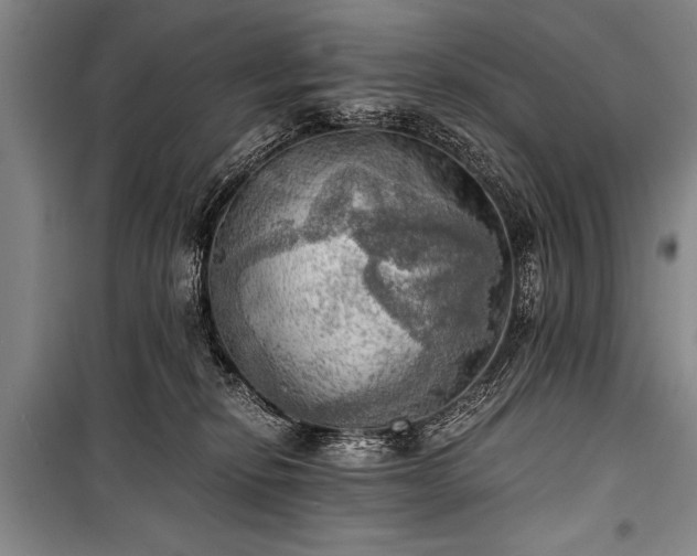 X0000100930278200807011228