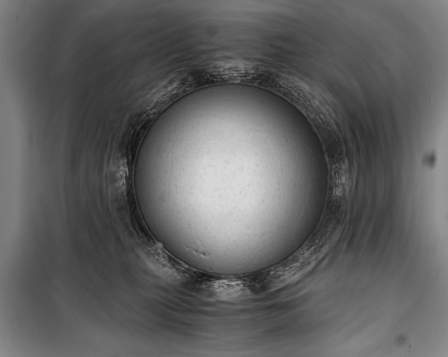 X0000100930279200807011228