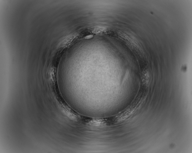 X0000100930280200807011228