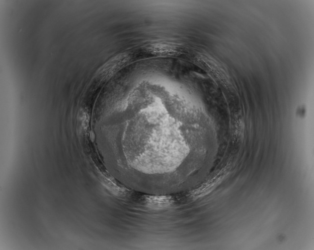 X0000100930281200807011228