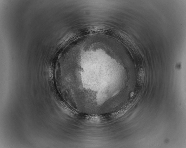 X0000100930282200807011229