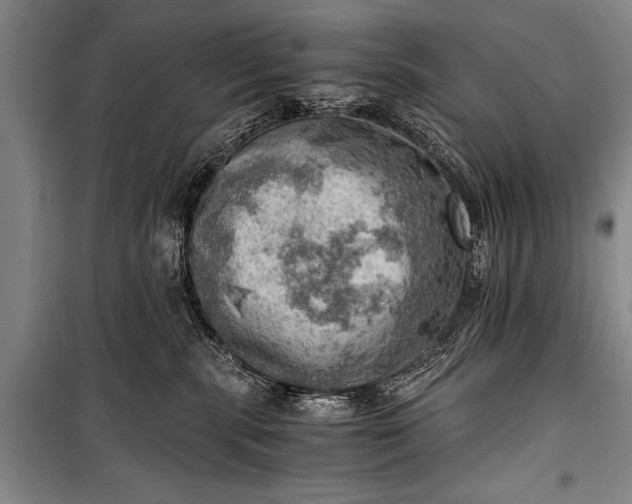 X0000100930283200807011229