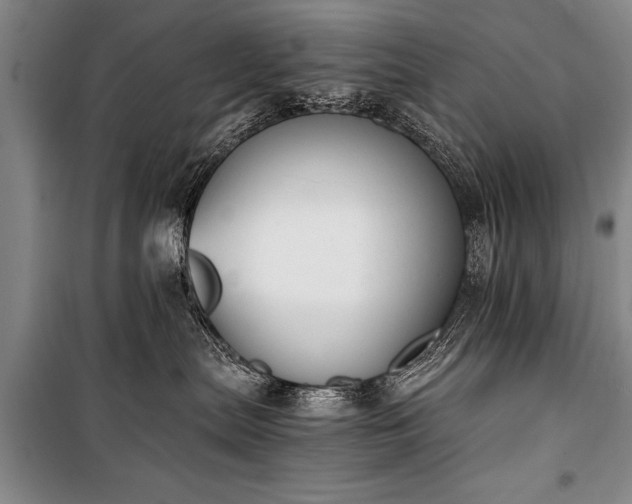 X0000100930287200807011229