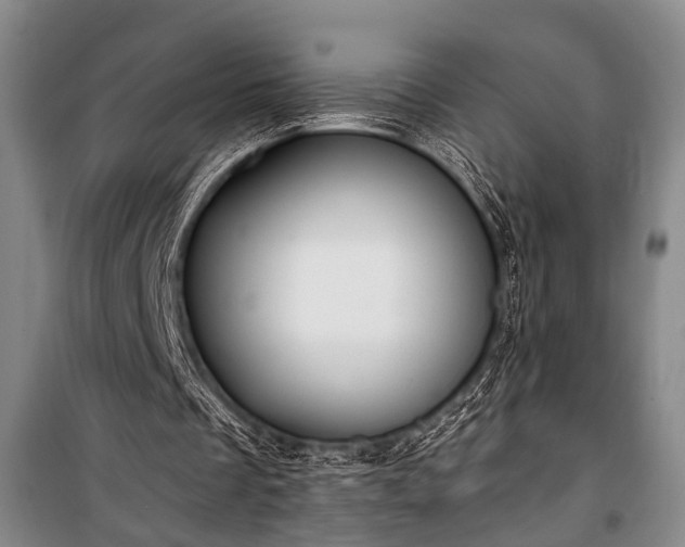 X0000100930289200807011228