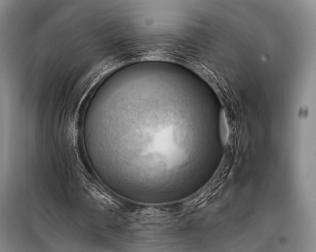 X0000100930290200807011228