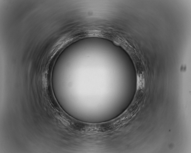 X0000100930291200807011228