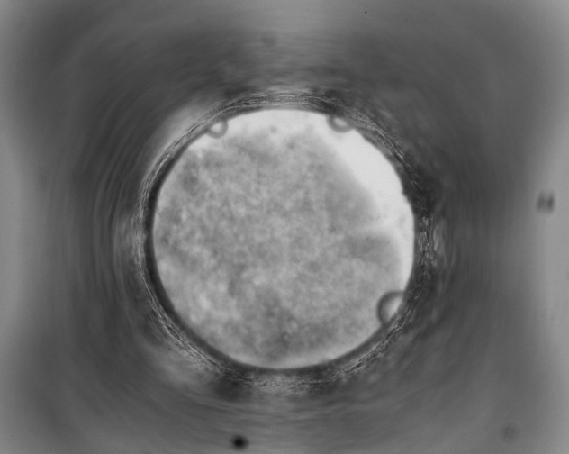 X0000100930293200807011228