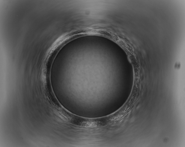 X0000100930295200807011228