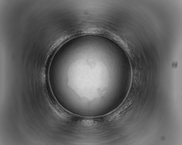 X0000100930298200807011228