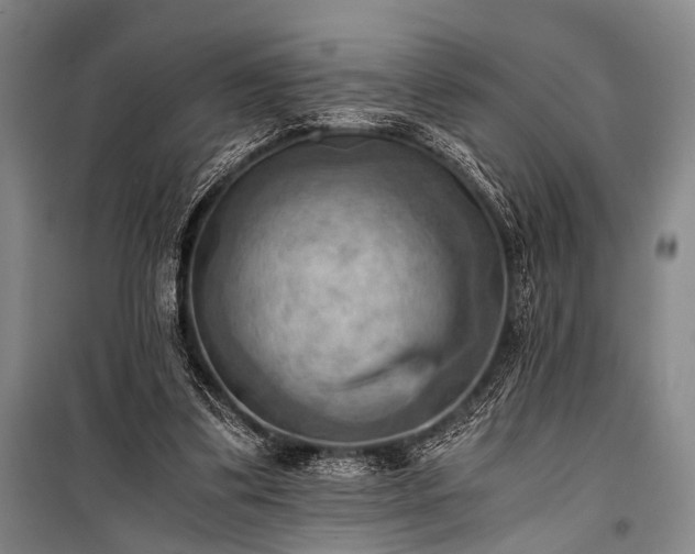 X0000100930299200807011228