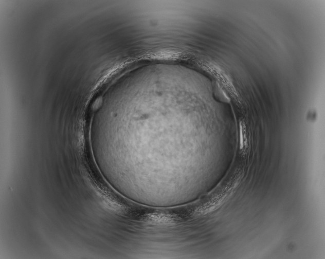 X0000100930300200807011228