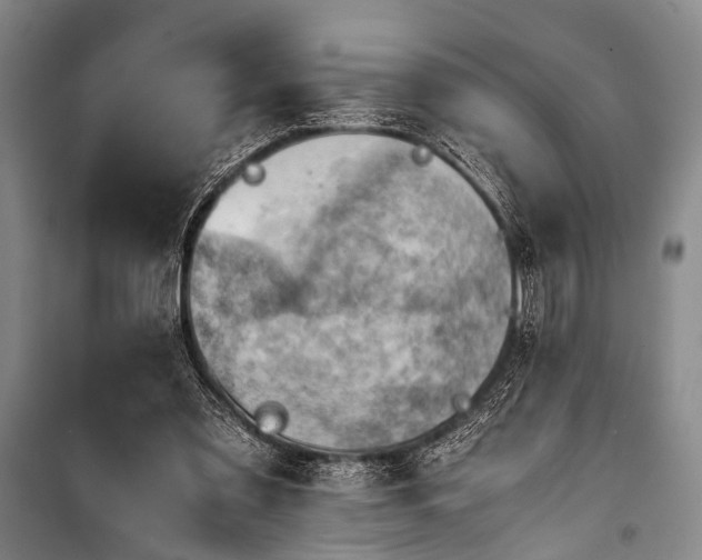 X0000100930301200807011228