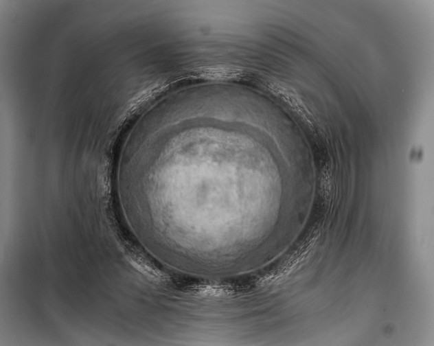 X0000100930303200807011228