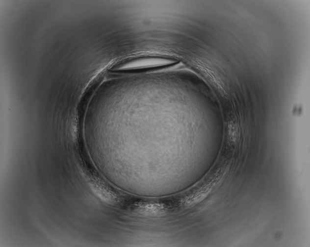 X0000100930304200807011228