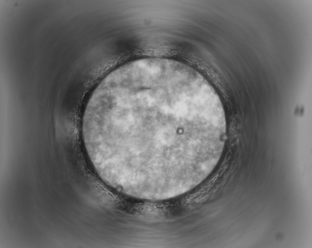 X0000100930305200807011228