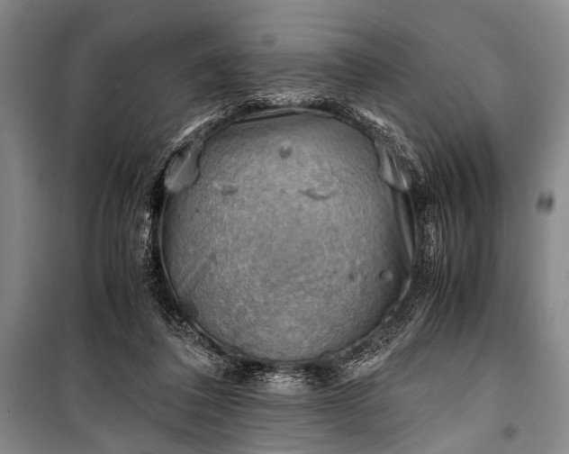 X0000100930308200807011228