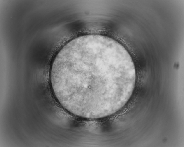 X0000100930309200807011228